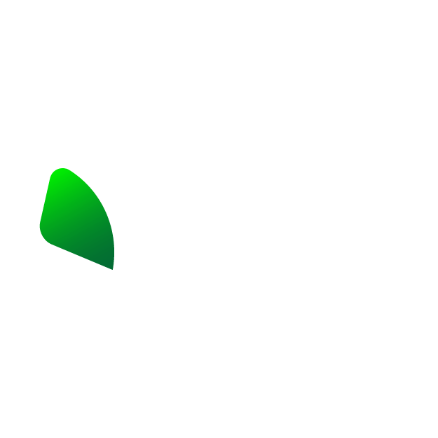 saudi arabia flag